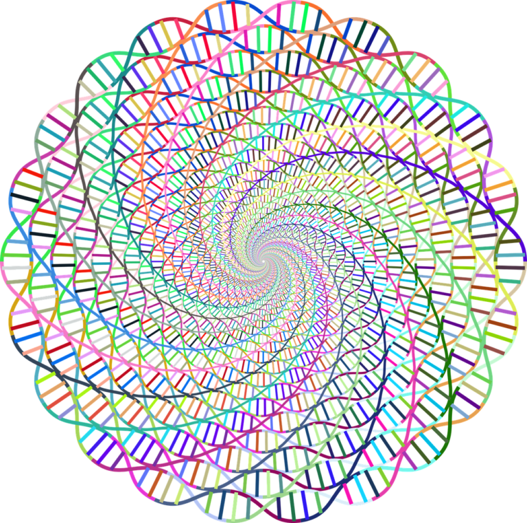 dna, deoxyribonucleic acid, health-2858778.jpg