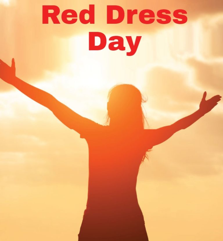 Red Dress Day (MMIWG2S) Guidebook for All Communities Across Turtle Island